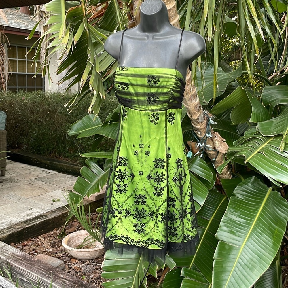 Betsy and Adam sheer dark floral mesh tulle cocktail dress